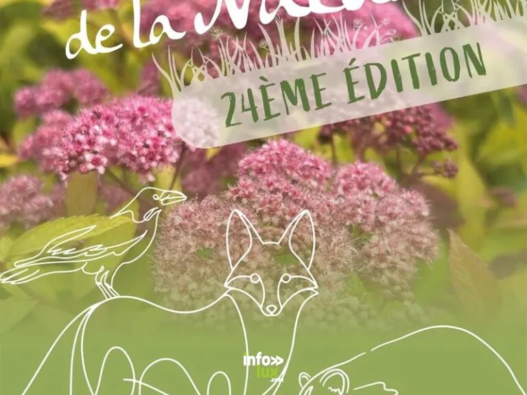 Jarny > Fête > Fête de la nature