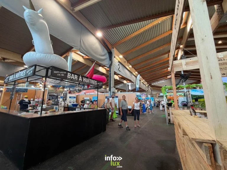 Colmar : top départ pour la Foire Aux Vins 2026
