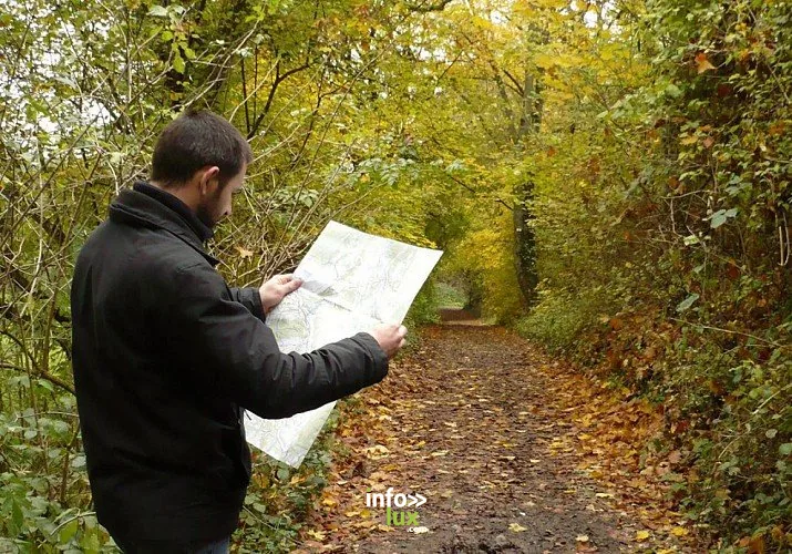 Le Fond des Trottes à Hotton : randonnée de 6,9 km