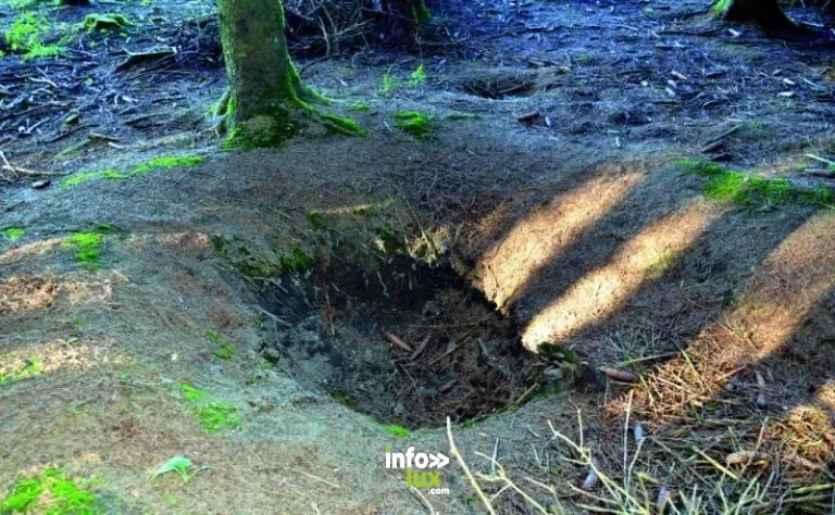 Les Fox Holes à Bastogne : randonnée de 4,6 km