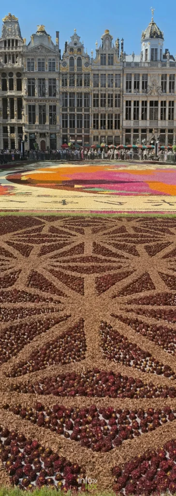 Grand-Place de Bruxelles : la vague de dahlias hommage au Japon — le reportage photos