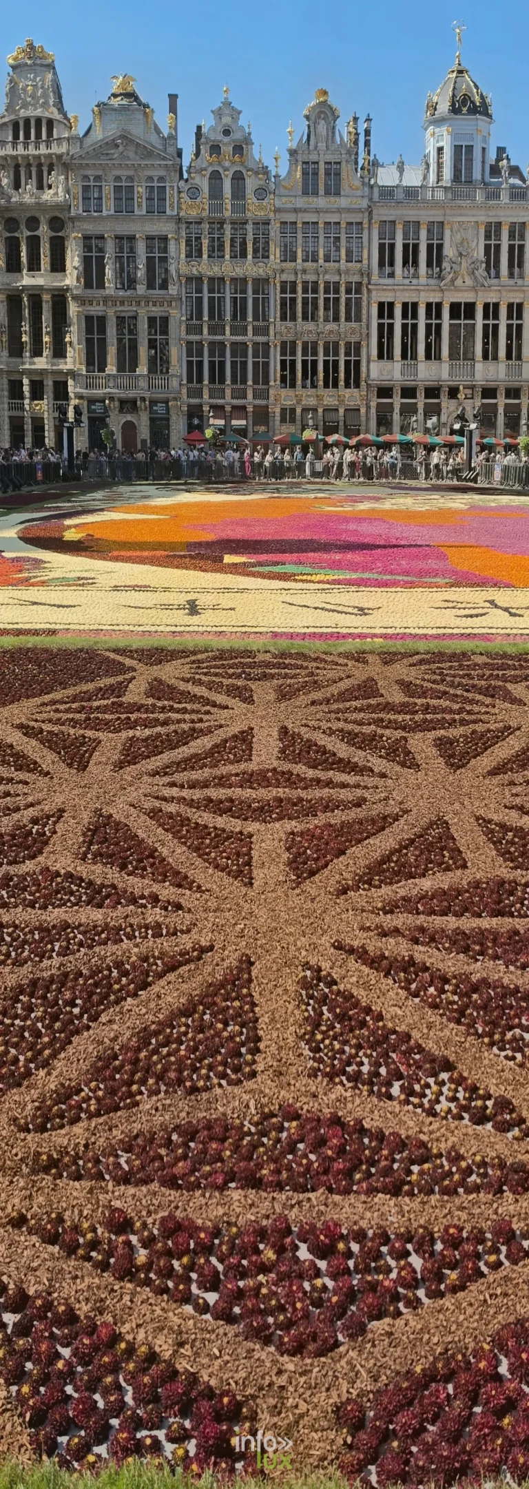 Tapis de dahlias de la Grand-Place de Bruxelles 2026 — photo Karolyn Delisé-Hanse (1)
