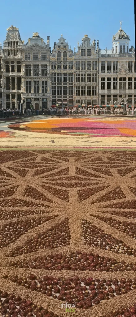 Motif en étoile du tapis de dahlias et façades de la Grand-Place de Bruxelles