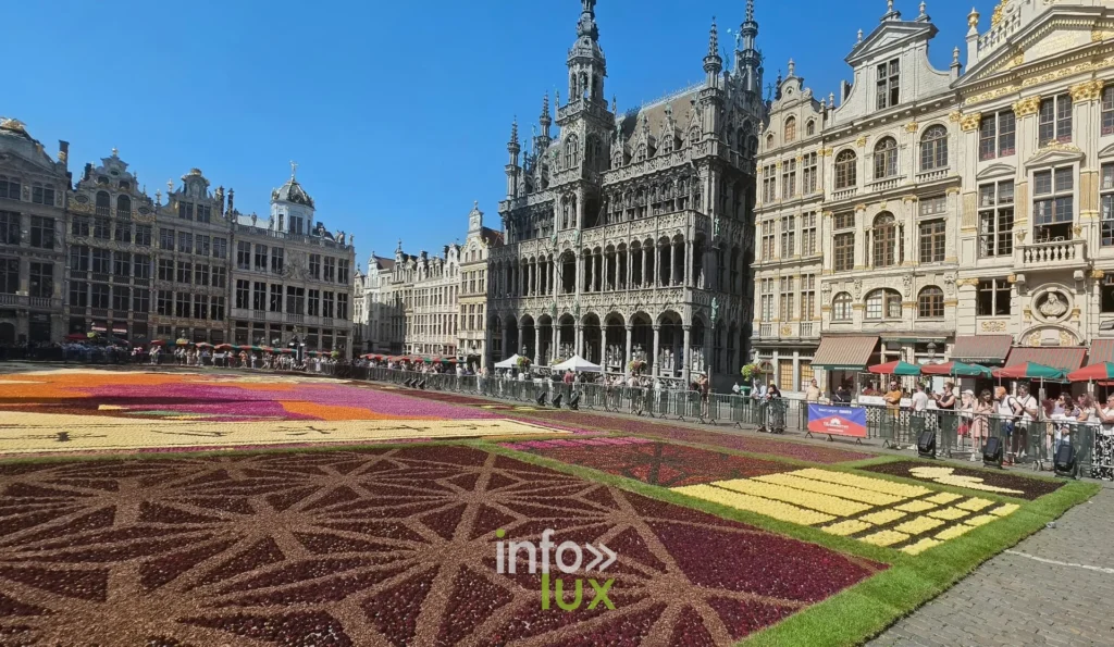 Vue large du Tapis de Fleurs et de la Maison du Roi sur la Grand-Place de Bruxelles