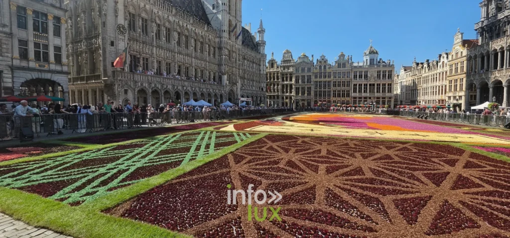 Bordure verte et motifs de dahlias du Tapis de Fleurs de Bruxelles 2026