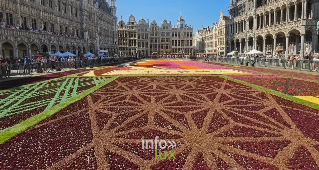 Tapis de dahlias en perspective devant les maisons de corporations de Bruxelles