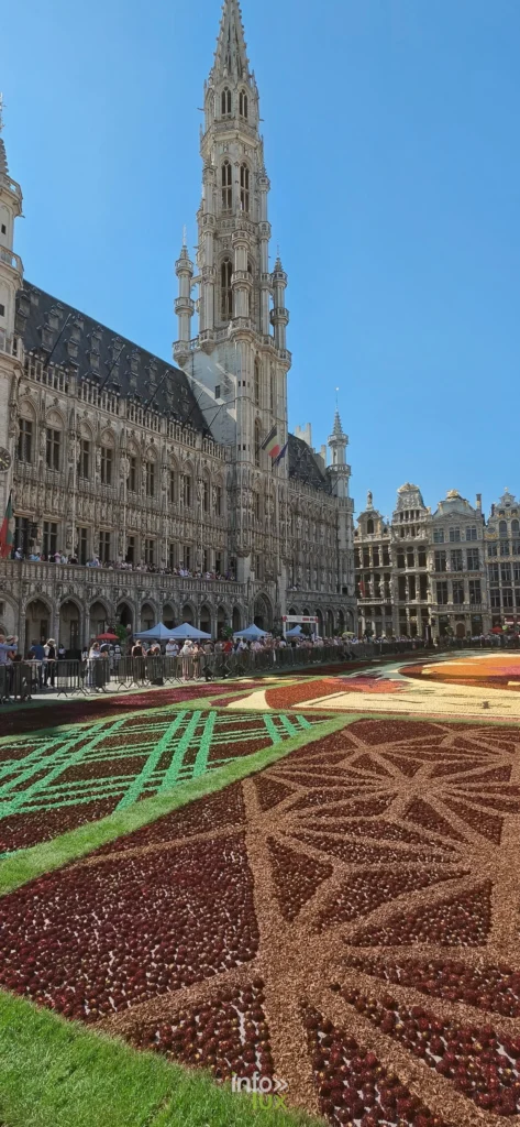 Tour de l’Hôtel de Ville de Bruxelles au-dessus du Tapis de Fleurs 2026