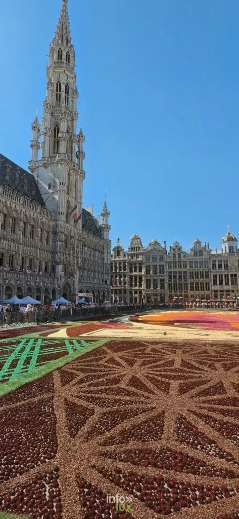 Flèche gothique de l’Hôtel de Ville et tapis de dahlias, Grand-Place de Bruxelles