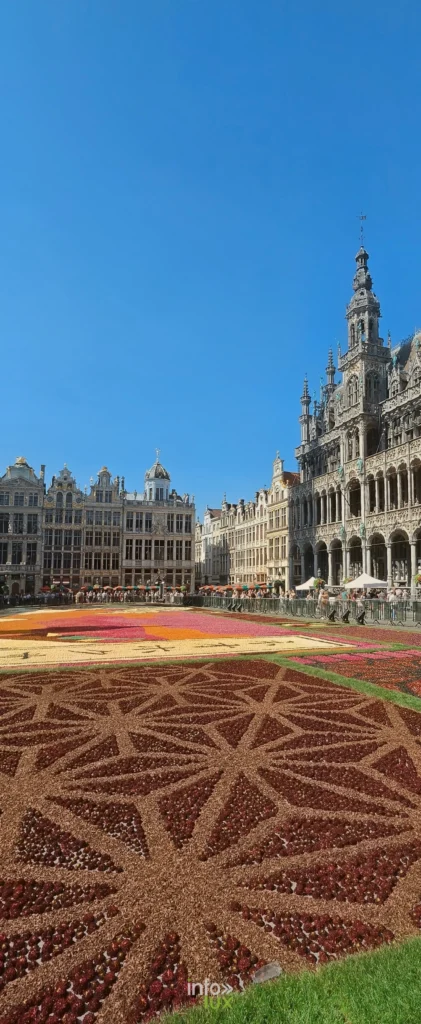 Façades de la Grand-Place de Bruxelles et tapis de dahlias sous un ciel bleu
