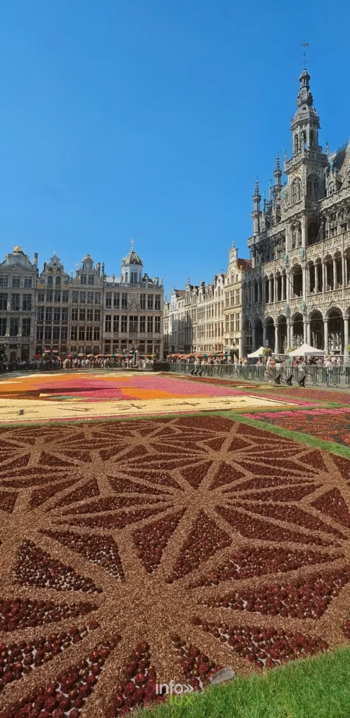 Maisons de corporations de la Grand-Place bordant le Tapis de Fleurs de Bruxelles