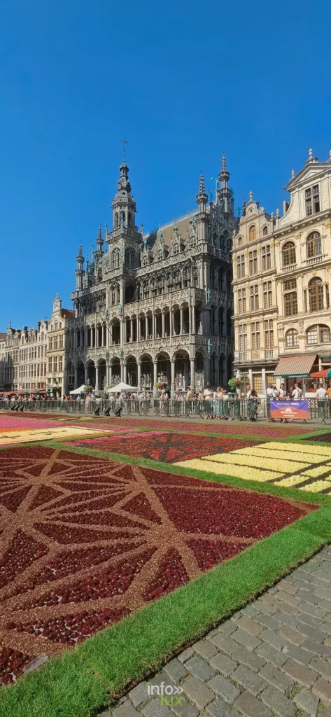 Maison du Roi et motifs de dahlias du Tapis de Fleurs 2026 à Bruxelles