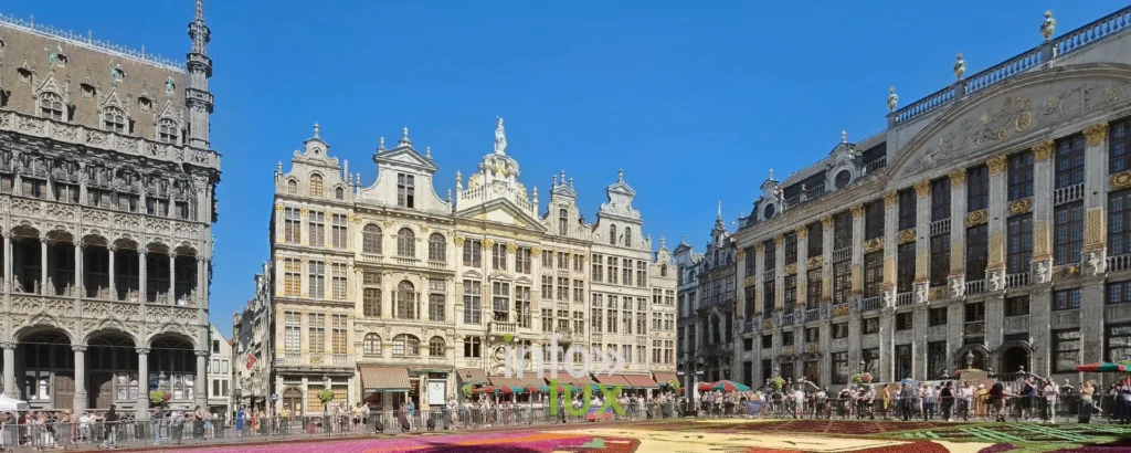 Façades de la Grand-Place de Bruxelles et foule autour du Tapis de Fleurs