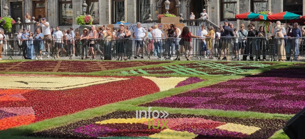 Visiteurs massés autour du tapis floral de la Grand-Place de Bruxelles