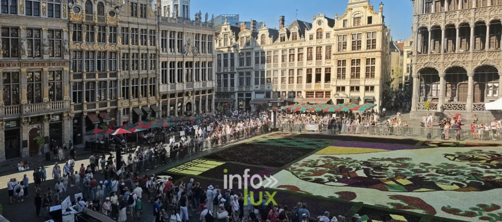 Vue plongeante sur la Grand-Place de Bruxelles, le Tapis de Fleurs et la foule
