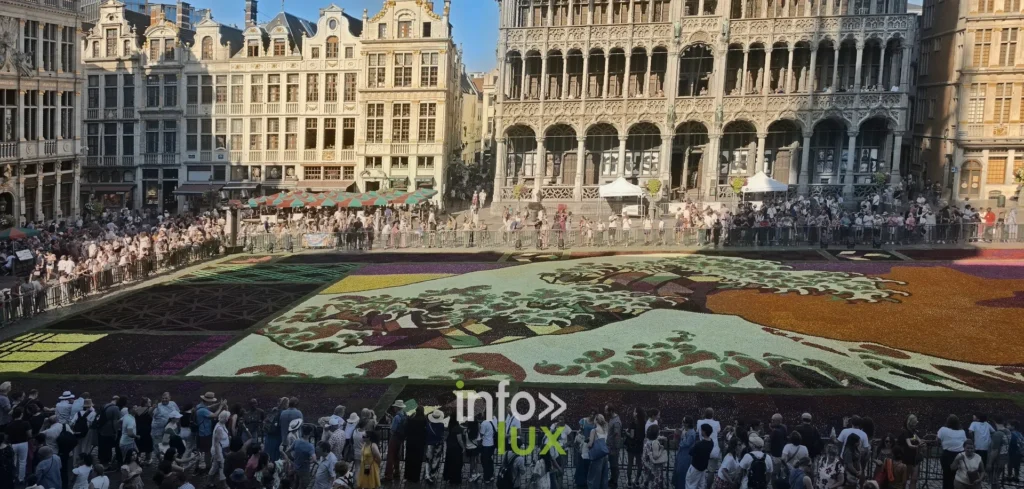 Foule dense autour du Tapis de Fleurs de Bruxelles vue depuis les hauteurs