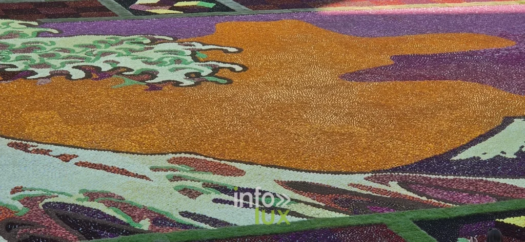 Grand aplat orange et volutes vertes du tapis floral de la Grand-Place