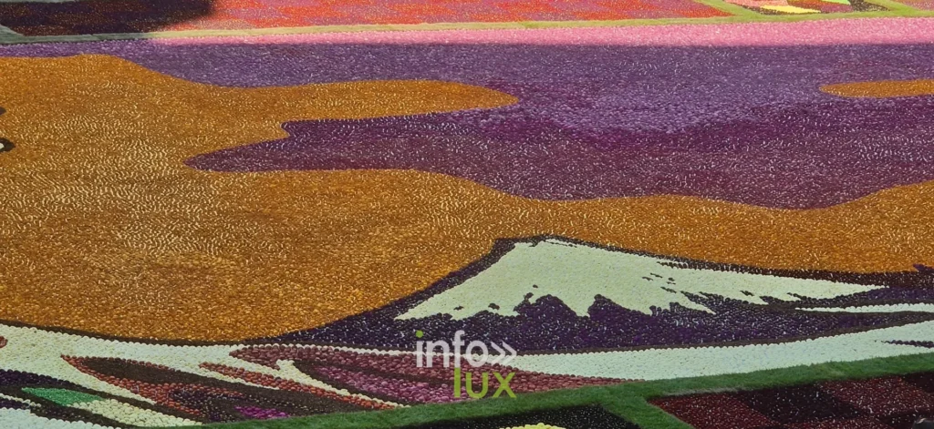 Aplat orange et ciel rose du tapis de dahlias de Bruxelles