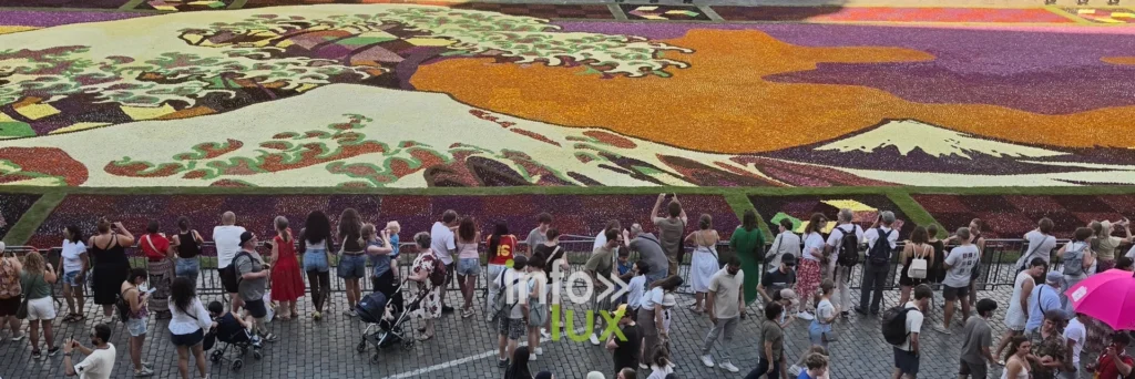 Vue plongeante sur le tapis floral et les visiteurs, Grand-Place de Bruxelles