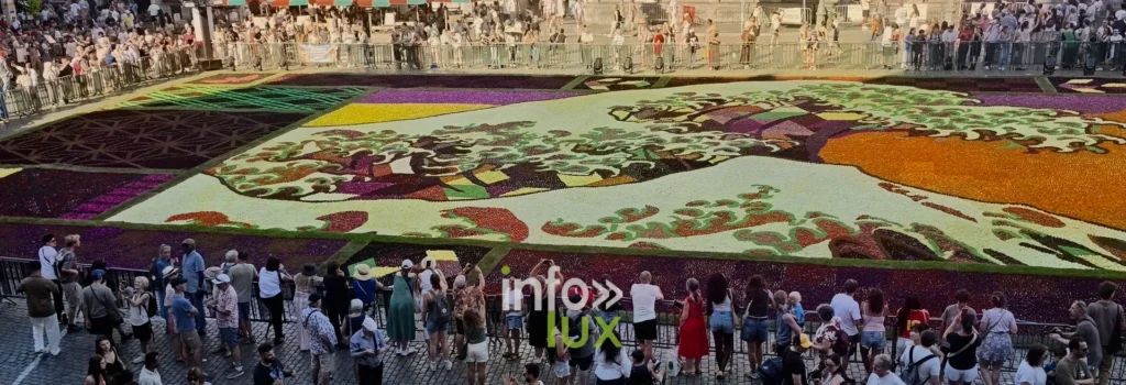 Foule et tapis de dahlias vus depuis un étage de la Grand-Place de Bruxelles