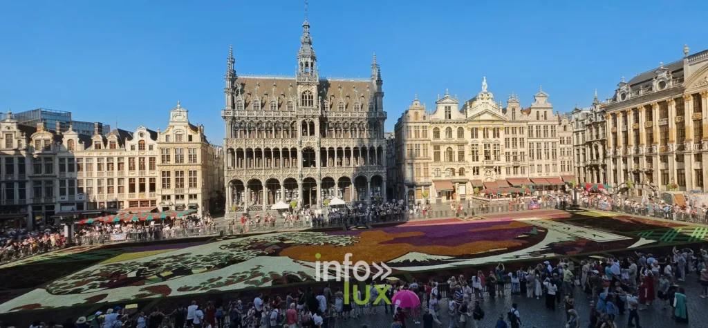 Vue générale de la Grand-Place de Bruxelles avec le Tapis de Fleurs 2026