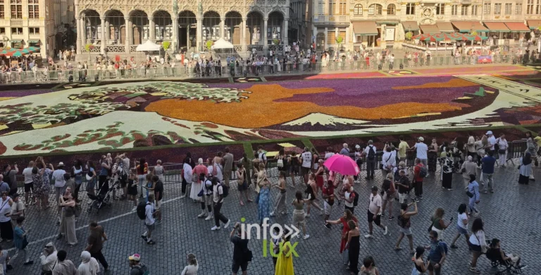 Grand-Place de Bruxelles : la vague de dahlias hommage au Japon — le reportage photos