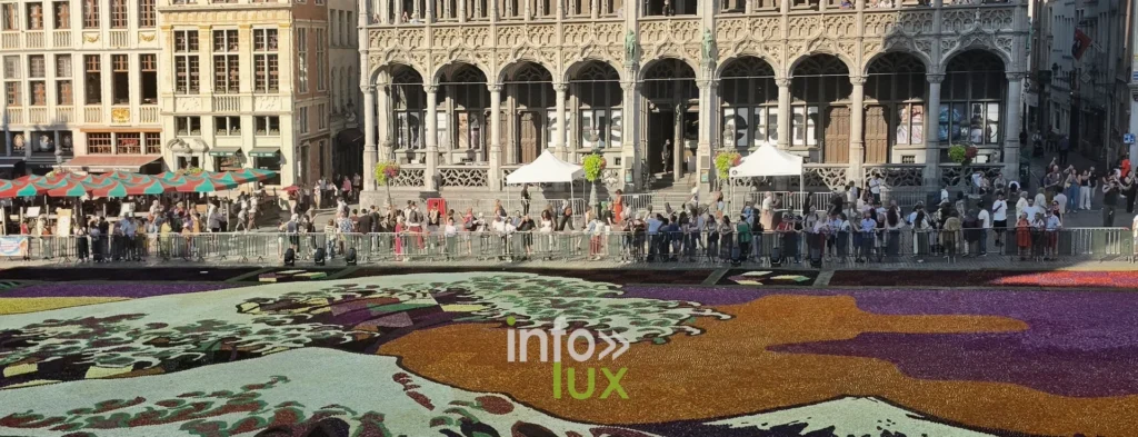Arcades de la Grand-Place de Bruxelles et bandes colorées du tapis de fleurs