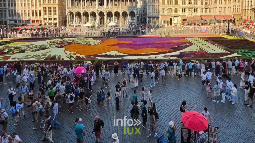 Tapis de Fleurs 2026 vu depuis l’Hôtel de Ville de Bruxelles