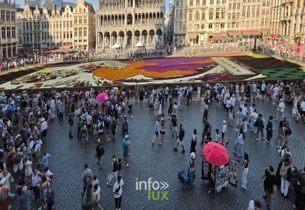 Grand-Place de Bruxelles et Tapis de Fleurs vus en plongée