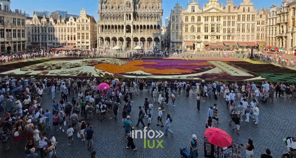 Façades et Tapis de Fleurs de la Grand-Place de Bruxelles vus de haut
