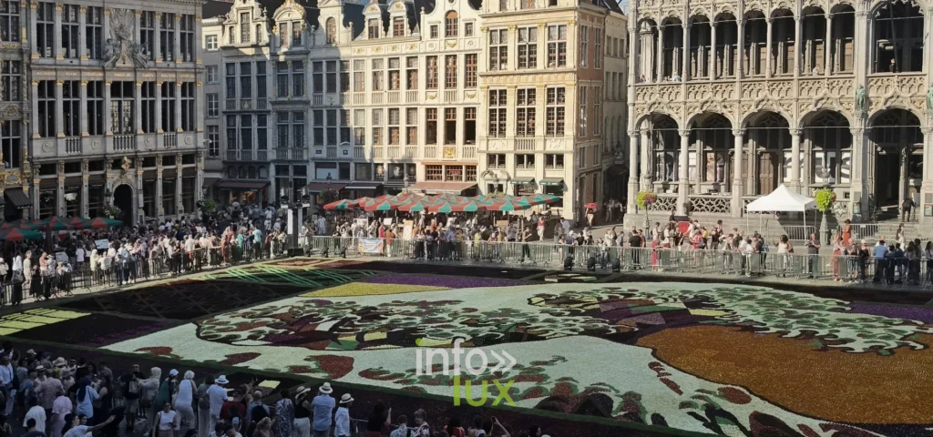 Façades de la Grand-Place de Bruxelles et tapis floral vert et brun