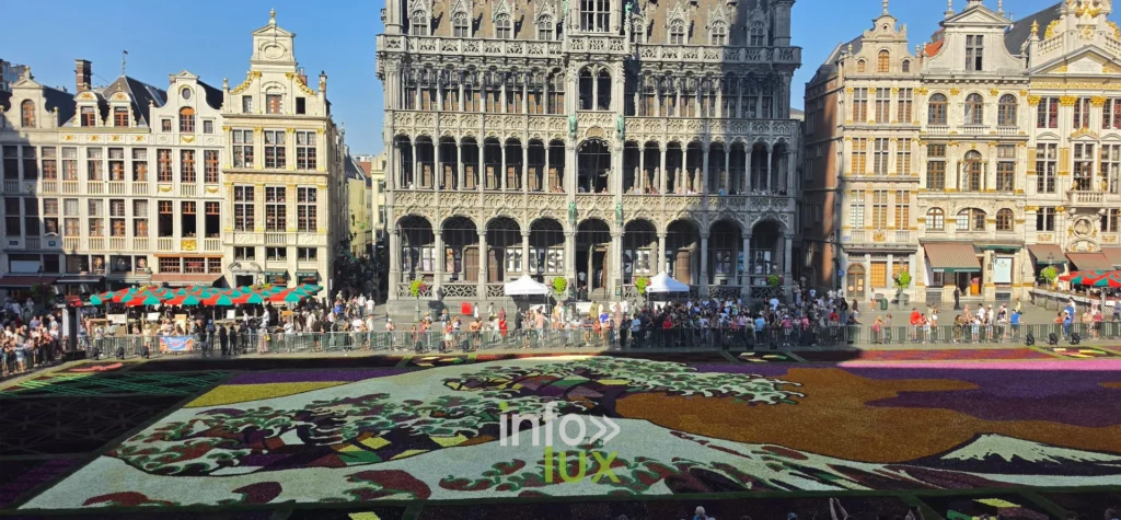 Façades historiques et tapis de dahlias de la Grand-Place de Bruxelles