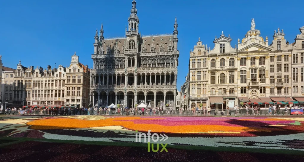 Maison du Roi et aplats orange du Tapis de Fleurs de Bruxelles