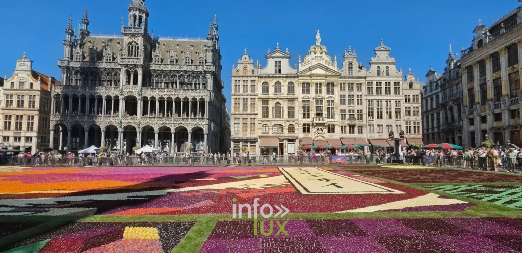 Façades de la Grand-Place de Bruxelles et zones roses et violettes du tapis