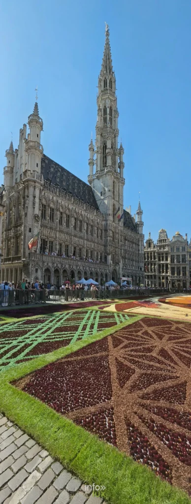 Hôtel de Ville de Bruxelles et motifs géométriques du tapis de dahlias