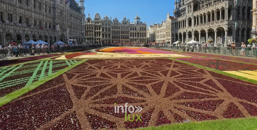 Motifs en étoile du Tapis de Fleurs 2026 sur la Grand-Place de Bruxelles