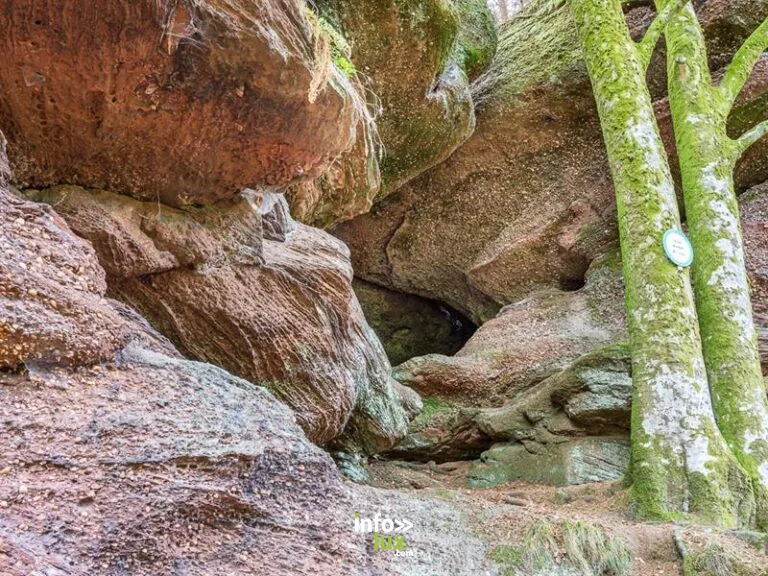 Grotte de Danne à Danne-et-Quatre-Vents