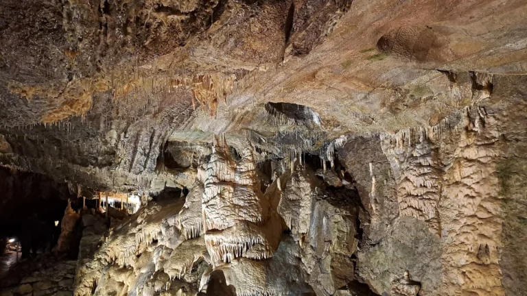 Les Grottes de Hotton, « Mille et Une Nuits » : visiter l’une des plus belles grottes de Belgique