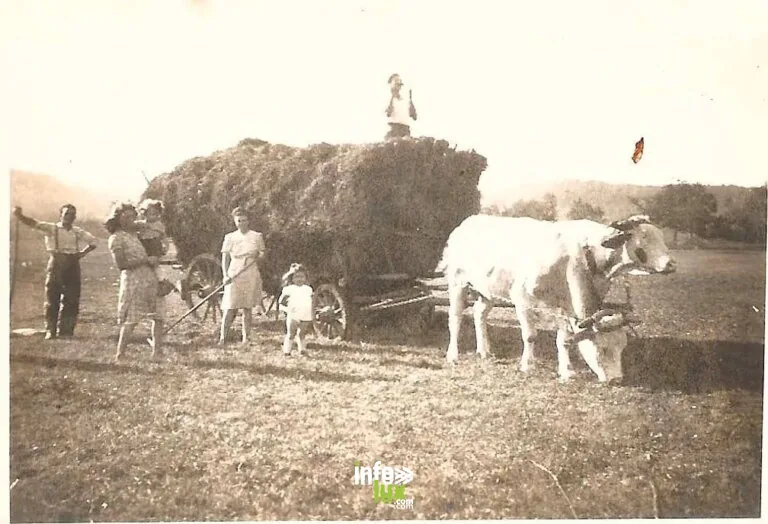 Weinbourg > Exposition > Histoire de la ferme