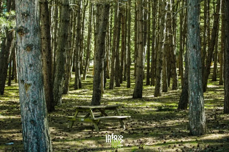 Aire de pique-nique à Sommeilles : la halte pique-nique