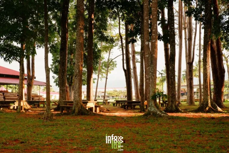 Aire de pique-nique (illustration)