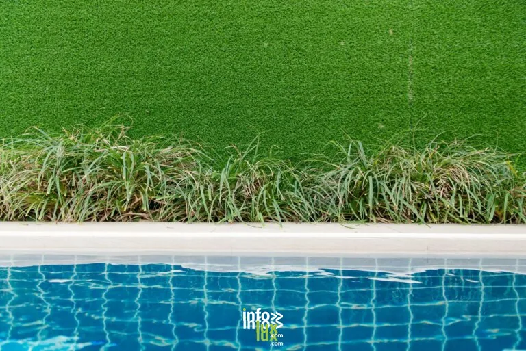 Piscine (illustration)