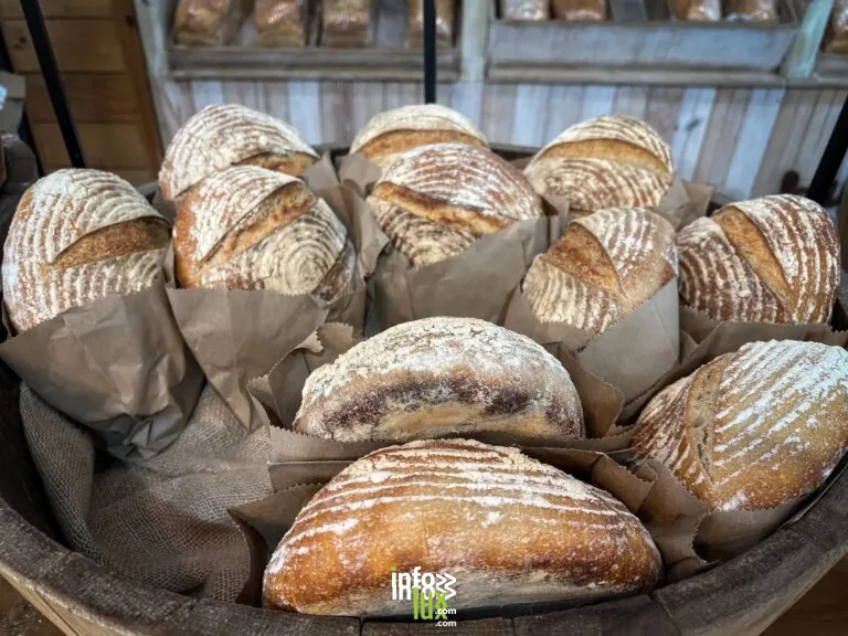 Un pain de côté boulangerie-pâtisserie bio à Lay-Saint-Christophe