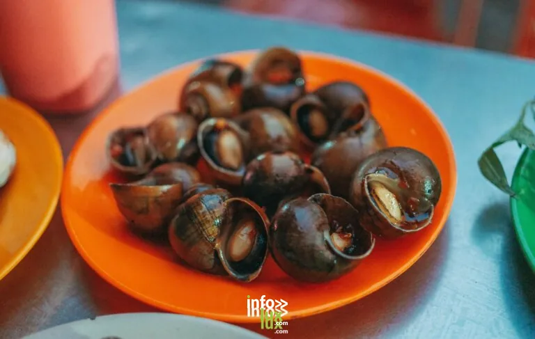 Les escargots de Caro à Ostheim