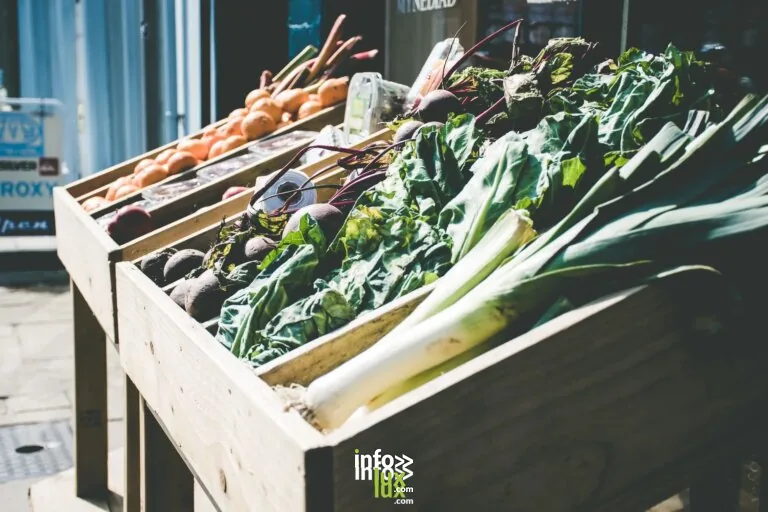 Illustration de ferme
