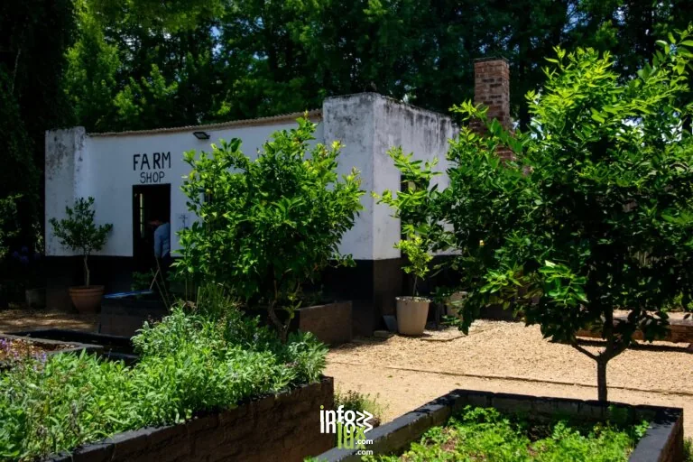 Bio Ferme Humbert à Urbeis