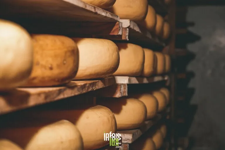 La Chèvrerie du Bonheur à Levoncourt