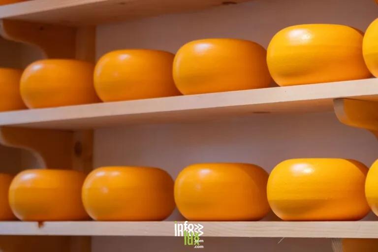 Chèvrerie les alpines de Meuse à Rouvrois-sur-Meuse