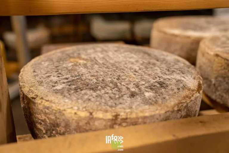 Fromagerie Becker à Ébersviller