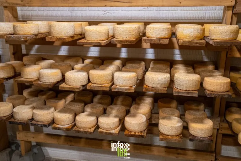 Chèvrerie des trois cabris à Vaux-lès-Palameix