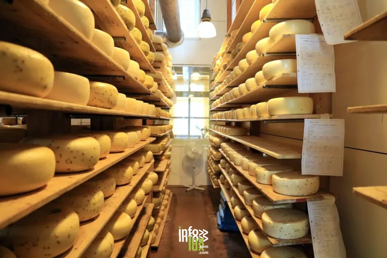 Fromagerie : Ferme Christlesgut (GAEC) à Breitenbach-Haut-Rhin